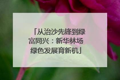 从治沙先锋到绿富同兴：新华林场绿色发展育新机