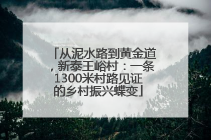 从泥水路到黄金道，新泰王峪村：一条1300米村路见证的乡村振兴蝶变