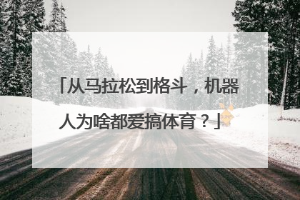 从马拉松到格斗，机器人为啥都爱搞体育？