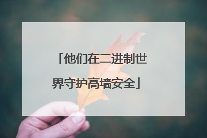 他们在二进制世界守护高墙安全