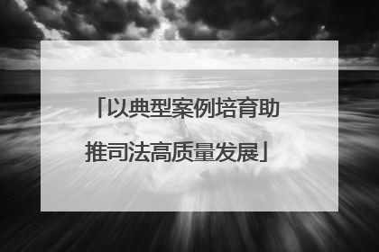 以典型案例培育助推司法高质量发展