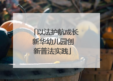以法护航成长 新华幼儿园创新普法实践