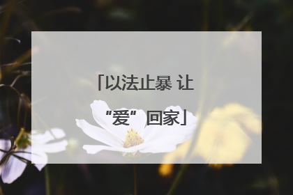 以法止暴 让“爱”回家