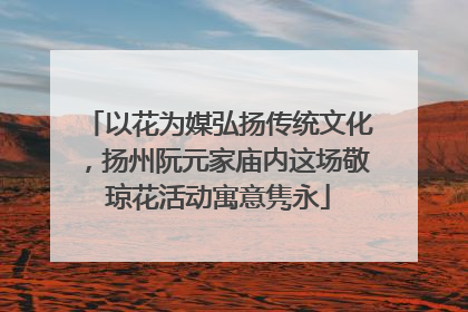 以花为媒弘扬传统文化，扬州阮元家庙内这场敬琼花活动寓意隽永