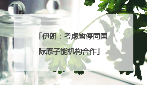 伊朗：考虑暂停同国际原子能机构合作