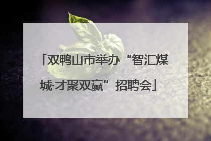 双鸭山市举办“智汇煤城·才聚双赢”招聘会