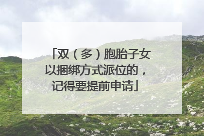 双（多）胞胎子女以捆绑方式派位的，记得要提前申请