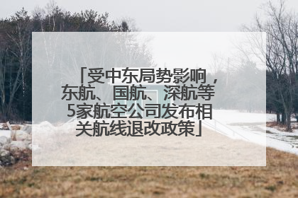受中东局势影响，东航、国航、深航等5家航空公司发布相关航线退改政策