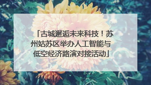 古城邂逅未来科技！苏州姑苏区举办人工智能与低空经济路演对接活动