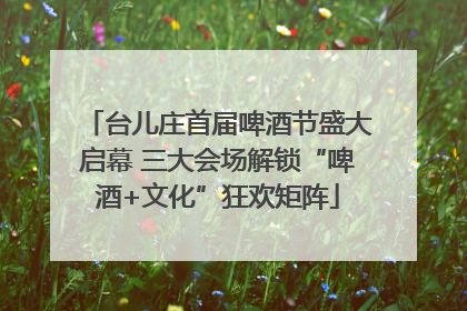 台儿庄首届啤酒节盛大启幕 三大会场解锁“啤酒+文化”狂欢矩阵