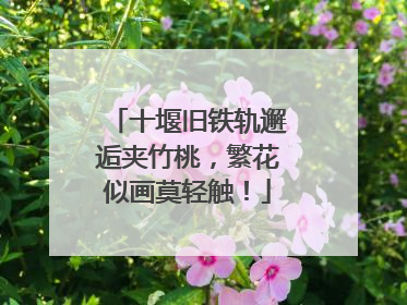 十堰旧铁轨邂逅夹竹桃，繁花似画莫轻触！