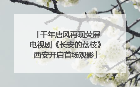 千年唐风再现荧屏 电视剧《长安的荔枝》西安开启首场观影