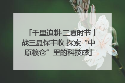 千里追耕·三夏时节丨战三夏保丰收 探索“中原粮仓”里的科技感