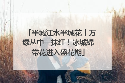 半城江水半城花丨万绿丛中一抹红！冰城锦带花进入盛花期