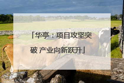 华亭：项目攻坚突破 产业向新跃升