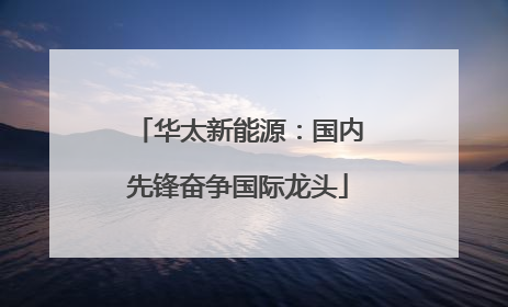 华太新能源：国内先锋奋争国际龙头