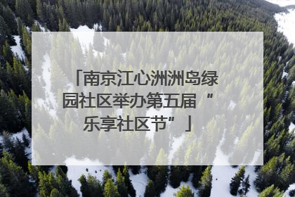 南京江心洲洲岛绿园社区举办第五届“乐享社区节”