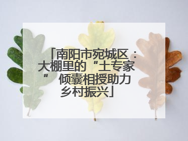 南阳市宛城区：大棚里的“土专家” 倾囊相授助力乡村振兴