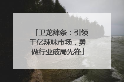 卫龙辣条：引领千亿辣味市场，勇做行业破局先锋