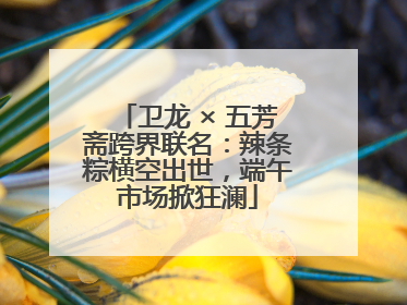 卫龙 × 五芳斋跨界联名：辣条粽横空出世，端午市场掀狂澜