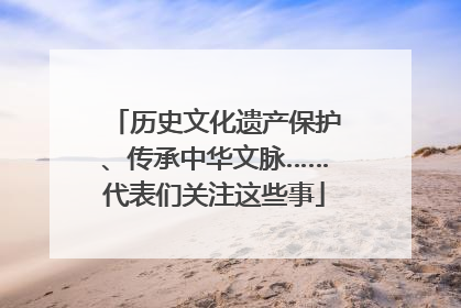历史文化遗产保护、传承中华文脉……代表们关注这些事