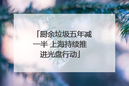 厨余垃圾五年减一半 上海持续推进光盘行动