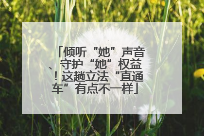 倾听“她”声音、守护“她”权益！这趟立法“直通车”有点不一样