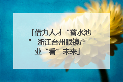 借力人才“蓄水池” 浙江台州眼镜产业“看”未来