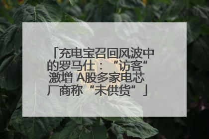 充电宝召回风波中的罗马仕：“访客”激增 A股多家电芯厂商称“未供货”