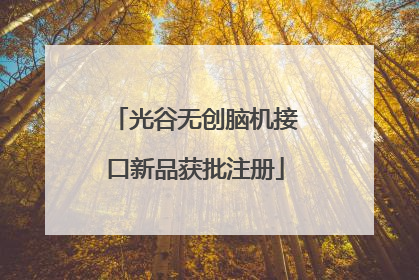 光谷无创脑机接口新品获批注册