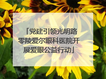 党建引领光明路 零陵爱尔眼科医院开展爱眼公益行动