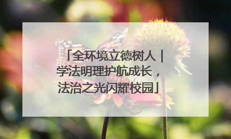 全环境立德树人｜学法明理护航成长，法治之光闪耀校园