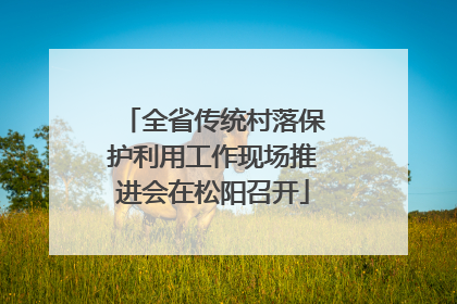 全省传统村落保护利用工作现场推进会在松阳召开