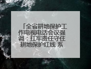 全省耕地保护工作电视电话会议强调：扛牢责任守住耕地保护红线 系统施治夯实粮食安全根基 王宁作出批示 王予波出席并讲话