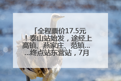 全程票价17.5元！泰山站始发，途经上高镇、燕家庄、范镇……终点站东营站，7月1日开通！
