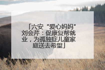 六安“爱心妈妈”刘会芹：促康复帮就业，为孤独症儿童家庭送去希望