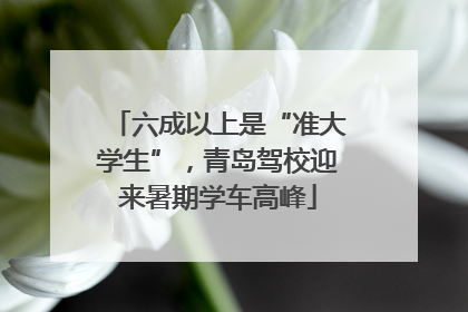 六成以上是“准大学生”，青岛驾校迎来暑期学车高峰