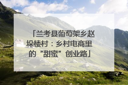 兰考县葡萄架乡赵垛楼村：乡村电商里的“甜蜜”创业路