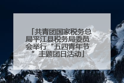 共青团国家税务总局平江县税务局委员会举行“五四青年节”主题团日活动