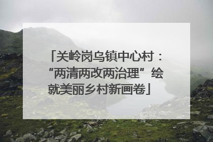 关岭岗乌镇中心村：“两清两改两治理”绘就美丽乡村新画卷