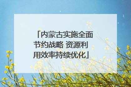 内蒙古实施全面节约战略 资源利用效率持续优化