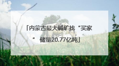 内蒙古最大碱矿找“买家” 储量20.77亿吨