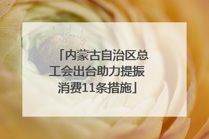 内蒙古自治区总工会出台助力提振消费11条措施