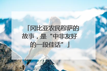冈比亚农民穆萨的故事，是“中非友好的一段佳话”