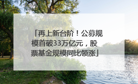 再上新台阶！公募规模首破33万亿元，股票基金规模同比领涨