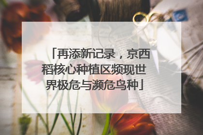 再添新记录，京西稻核心种植区频现世界极危与濒危鸟种