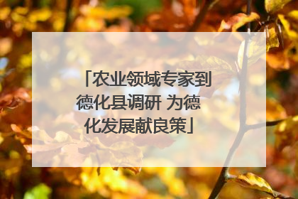 农业领域专家到德化县调研 为德化发展献良策