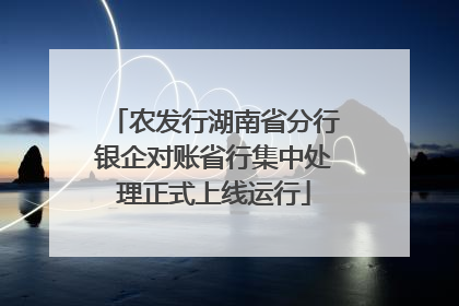 农发行湖南省分行银企对账省行集中处理正式上线运行