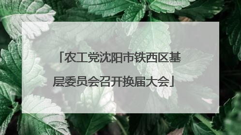农工党沈阳市铁西区基层委员会召开换届大会