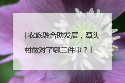 农旅融合助发展，潭头村做对了哪三件事？